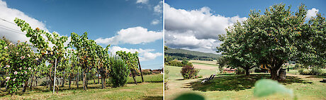Ferienhaus zur Weinlaube im Bayerischen Wald Urlaub 2012